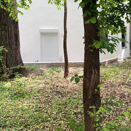 One Room Apartment Decebal Bukares Bagian luar foto