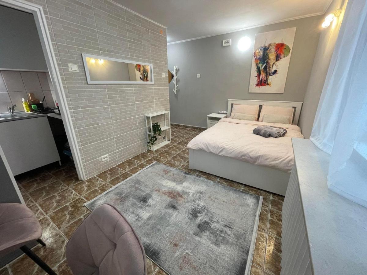 One Room Apartment Decebal Bukares Bagian luar foto
