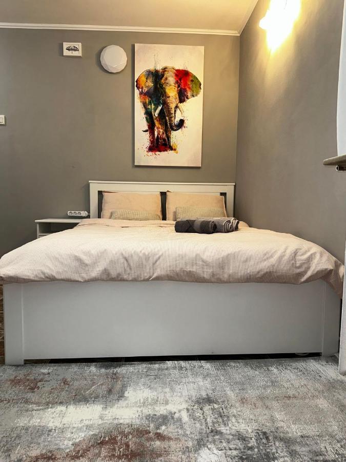 One Room Apartment Decebal Bukares Bagian luar foto